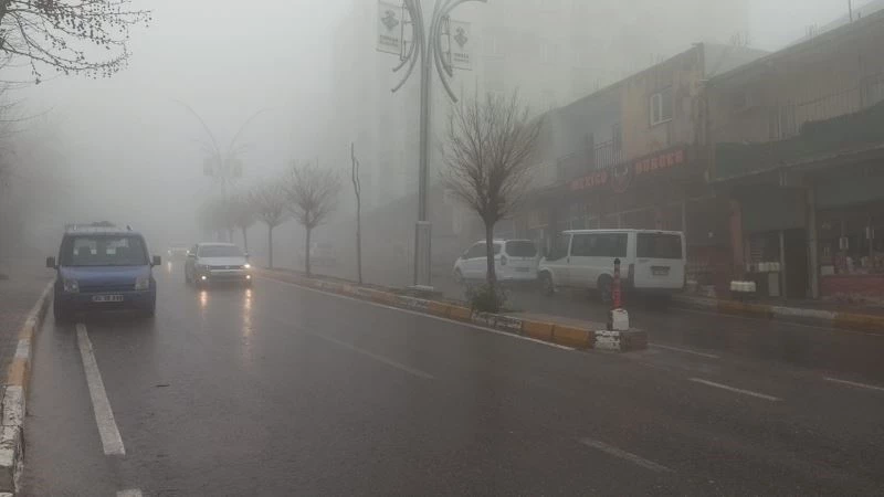 Şırnak’ta etkili olan sis, görüş mesafesini 10 metreye düşürdü
