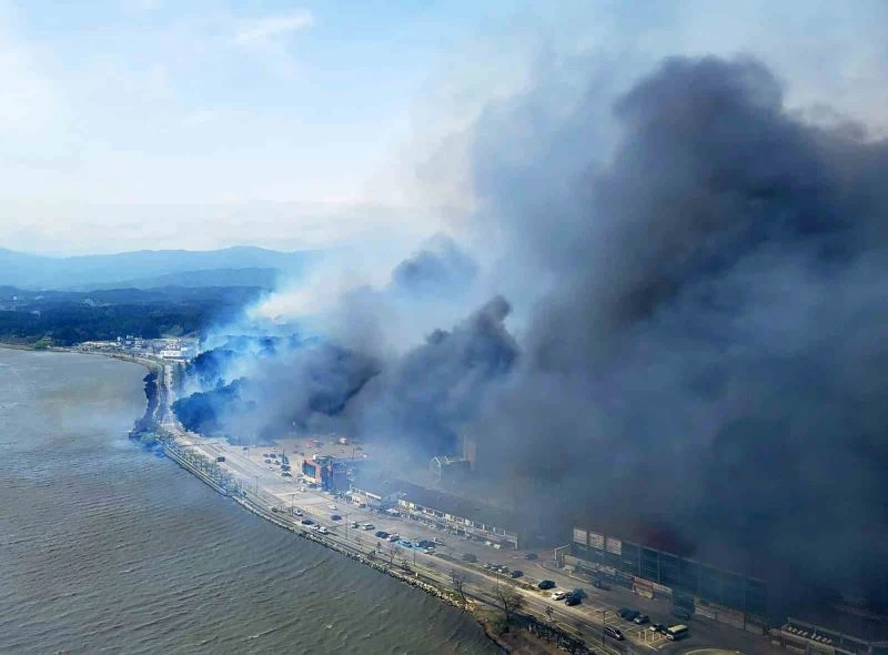 Güney Kore’de orman yangını: 300 kişi tahliye edildi
