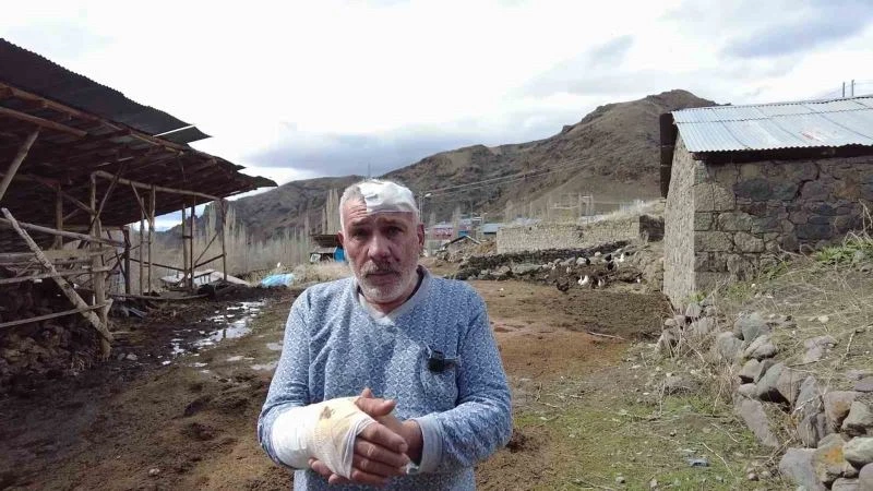 Yaşadığı kurt dehşetini anlattı
