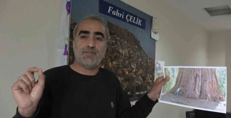 Uzman uyardı: Depremden korunmanın yolu evlerde ağaç modeline yönelmek
