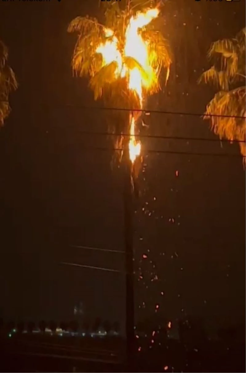 Hatay’da yıldırım isabet eden ağaç yandı