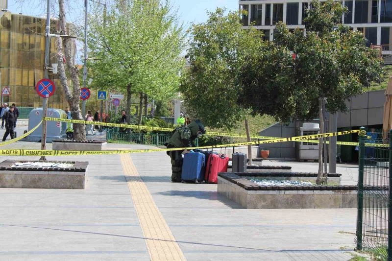 Dalgın bulaşıkçı şehri ayağa kaldırdı
