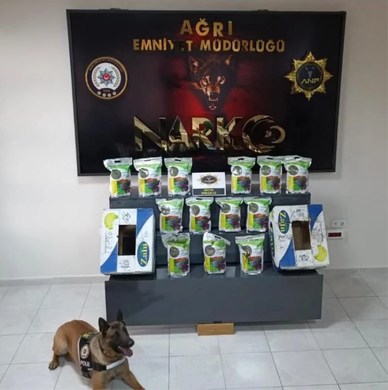 Ağrı’da muz kolisinden uyuşturucu çıktı
