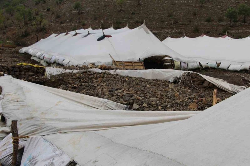 Şırnak’ta sel 205 hayvanı telef etti
