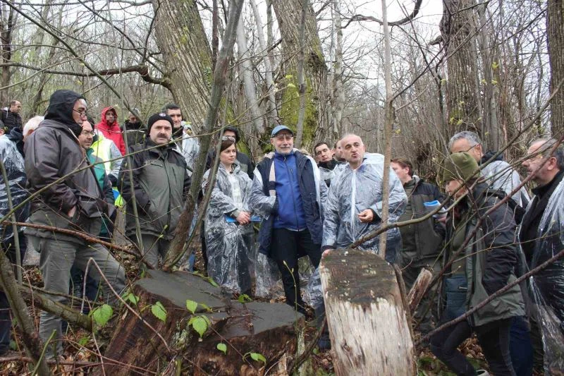 2 ildeki ormanlar kestane ve kestane balı üretiminin merkezi olacak
