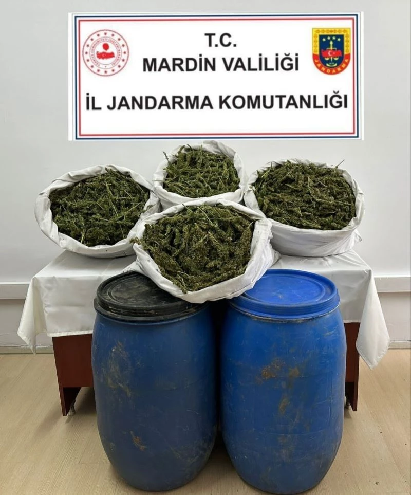 Jandarmadan zehir tacirlerine operasyon: 28 buçuk kilo esrar ele geçirildi
