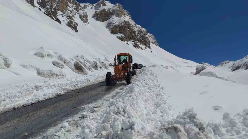 Van-Bahçesaray yolu tek şeritten ulaşıma açıldı
