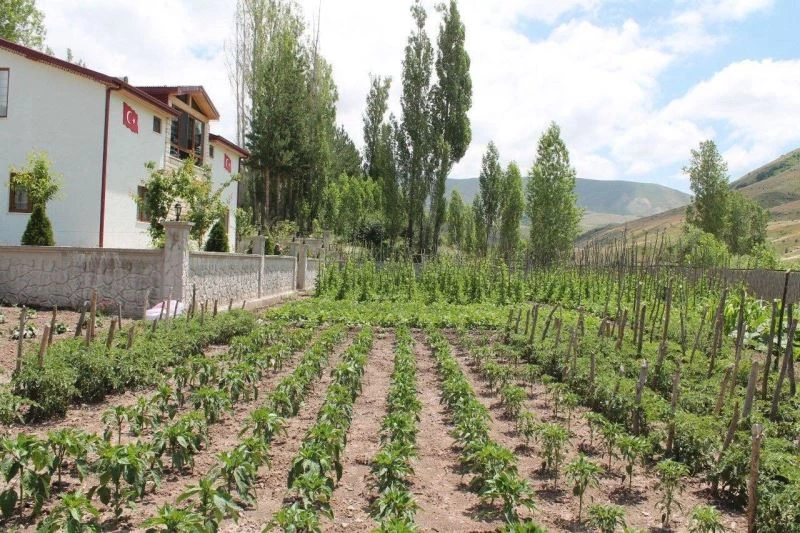 Gurbetçi vatandaş ata topraklarına 500 adet meyve ağacı dikti
