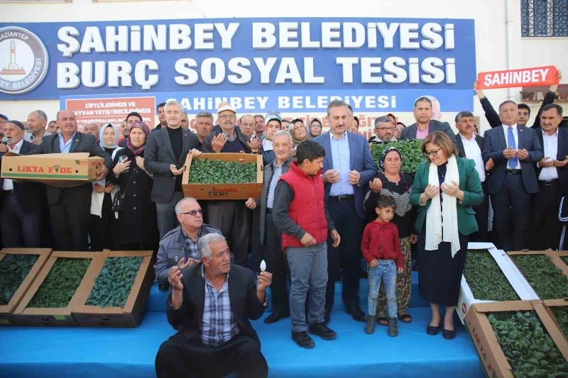 Gaziantep’te çiftçiye 11 milyon 500 bin adet fide dağıtıldı
