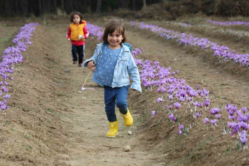 Karabük’te nüfusun 47 bin 553’ü çocuklardan oluşuyor
