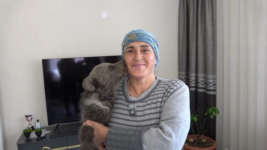 Bebek bezli yavru ayı ‘Yogi’ evin maskotu oldu