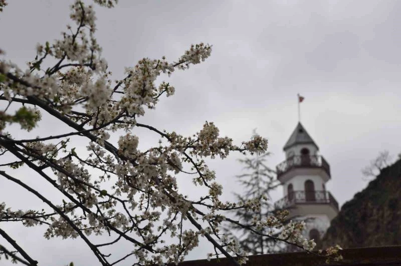Tarihi Osmanlı kasabasında bahar havası yaşanıyor
