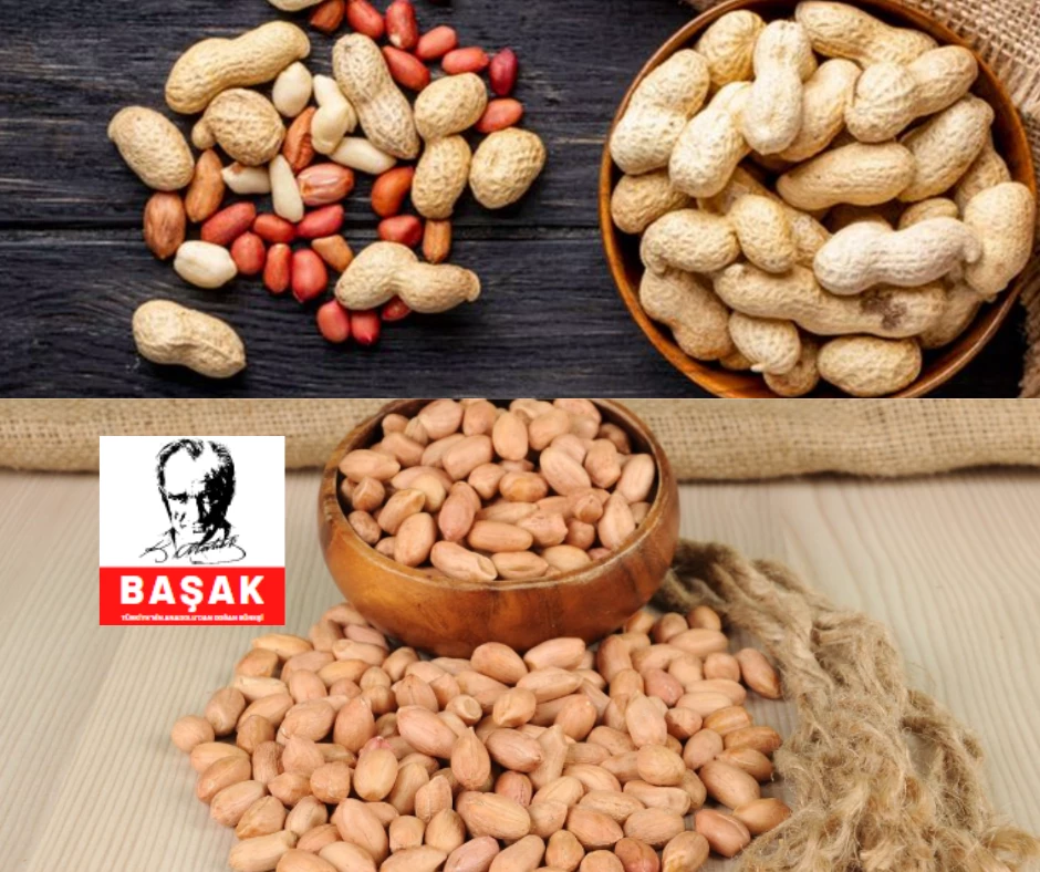 Osmaniye Yer Fıstığının Faydaları Nelerdir?