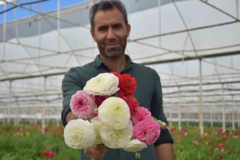 Türkiye’de sadece Antalya’da üretiliyor, yüzde 90 yurt dışına ihraç ediliyor
