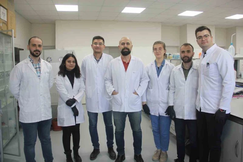 Deniz salyangozundan kanser ilacı adayları ürettiler
