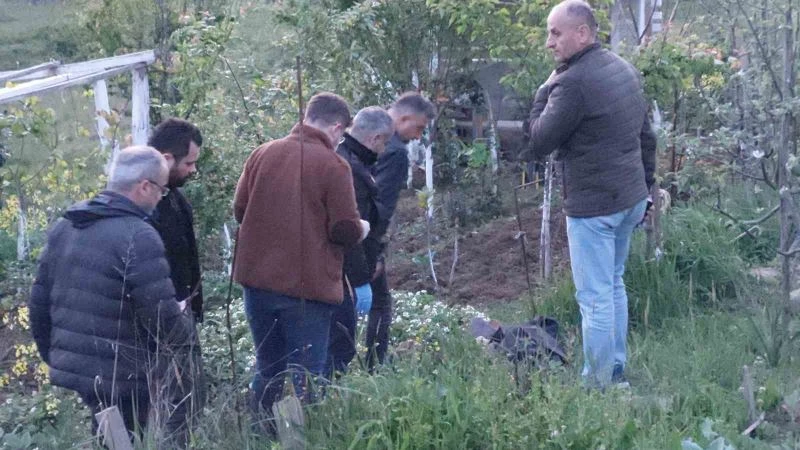 Bahçede çalışırken hayatını kaybetti
