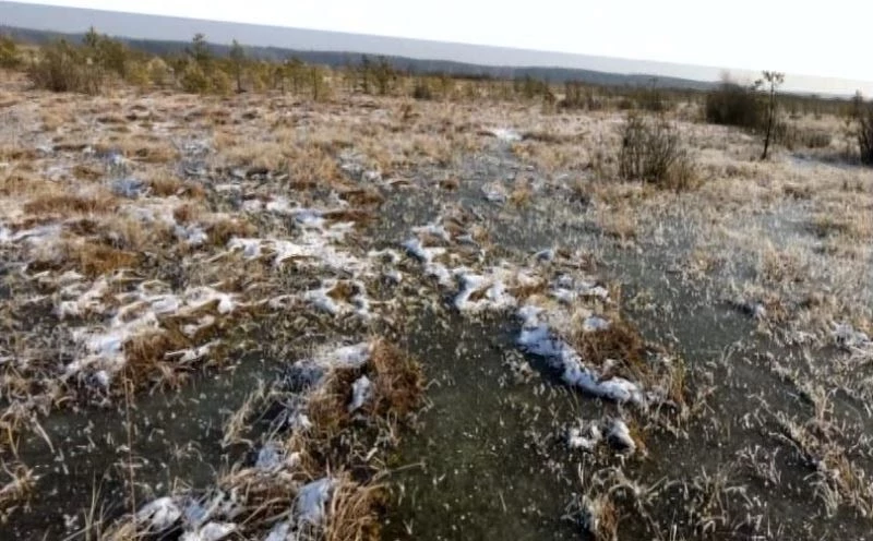 En yüksek metan kaynağı Sibirya’da donmuş halde bulunan turbalıklarda
