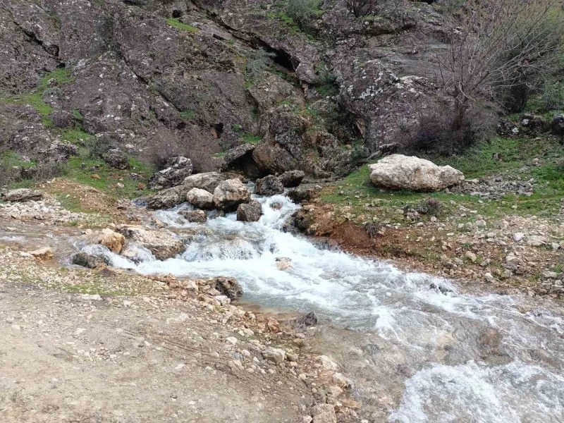 Yıllardır kuruyan su kaynağından depremden sonra su çıktı
