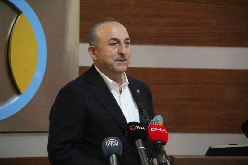 Çavuşoğlu: 