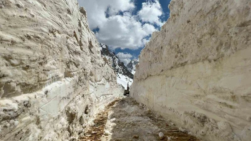 Hakkari’de 5 metreyi bulan karda yol açma çalışması
