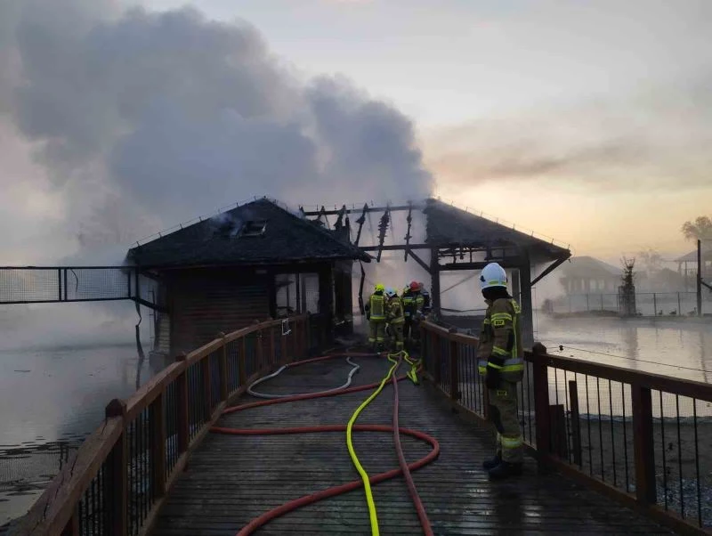 Polonya’da hayvanat bahçesinde yangın: 7 maymun, 40 papağan telef oldu
