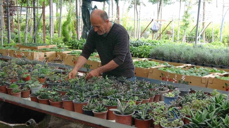 Artan çiçek satışları Hatay’da bu sefer yüz güldürmedi