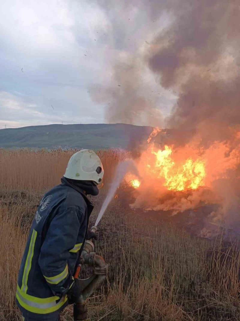 Van’da sazlık alanlarda yangın
