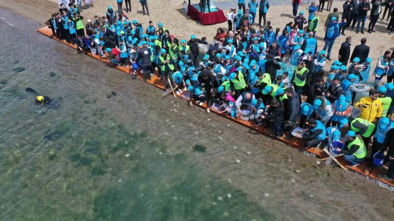 Binlerce yavru balık İzmit Körfezi’ne salındı: Adım adım izlenecekler
