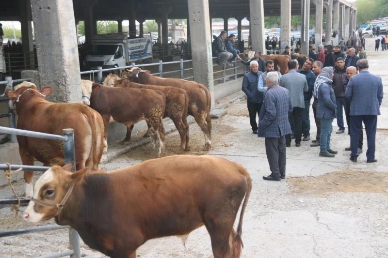 Diyarbakır’da SAT-2 serotipine karşı 100 binin üzerinde hayvan aşılandı
