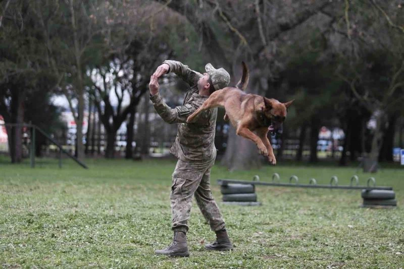 Askerlerin can yoldaşları nefes kesen eğitimlerden geçiyor

