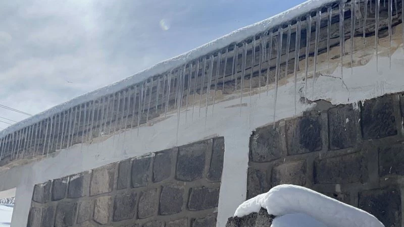 Ağrı’da kar yağışının ardından don etkili oldu
