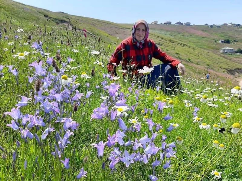 Kuşlara yem vermek isterken hayatını kaybetti

