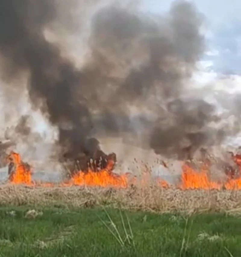 Van’da sazlık alanda yangın
