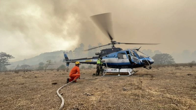 Meksika’da orman yangını: 1 ölü
