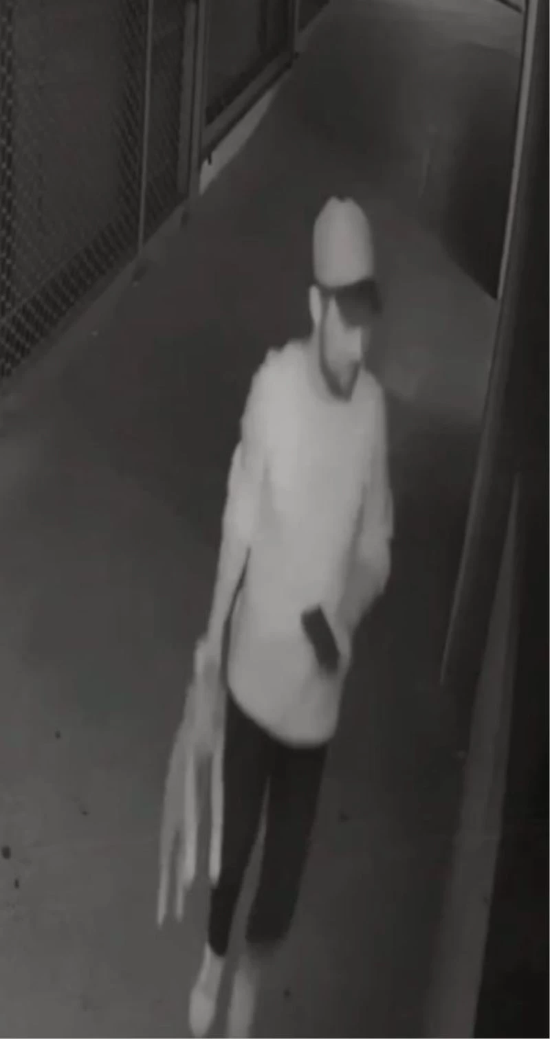 Yavru köpeği öldüren şüpheliye barınak şartı
