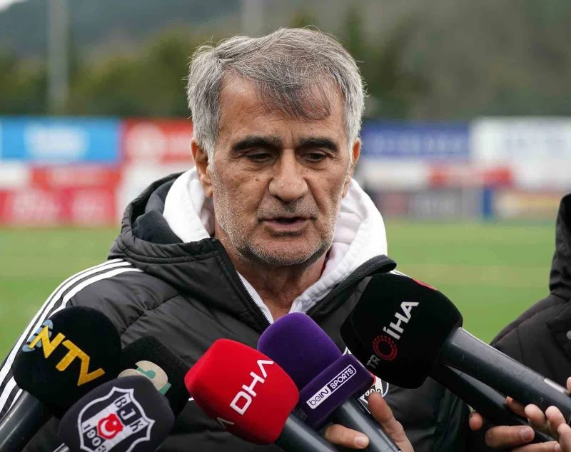 Şenol Güneş: 