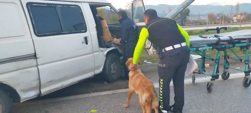 Direğe çarpan aracın içinde sıkışan sürücüyü köpeği yalnız bırakmadı
