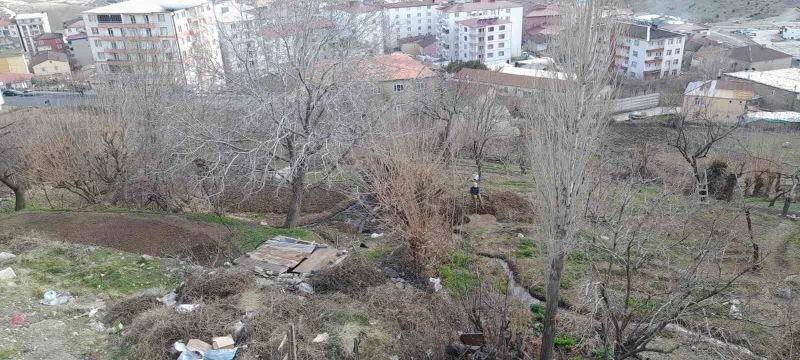 Kulp’ta baharla birlikte bahçe işleri başladı
