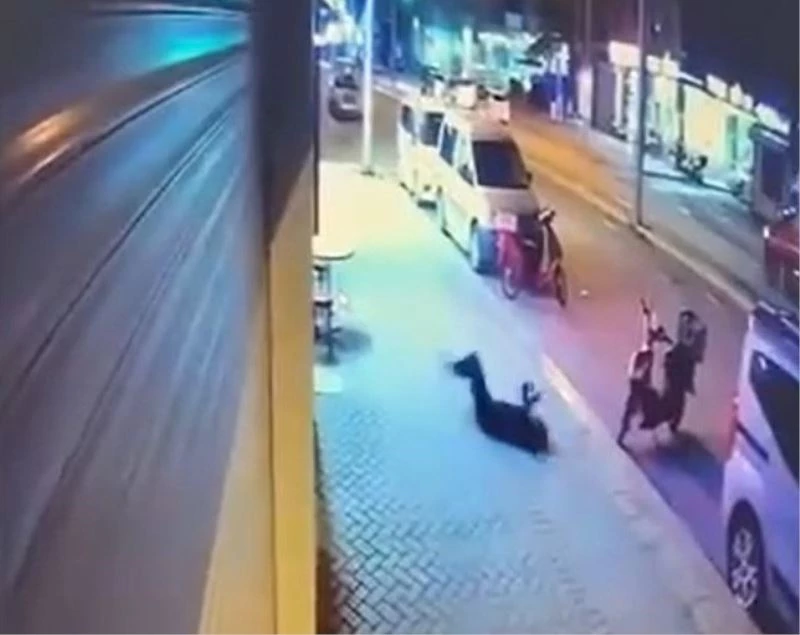 Sevgilisinin camdan düşerek hayatını kaybetmesi sonucu tutuklanan şüphelinin ifadesine ulaşıldı
