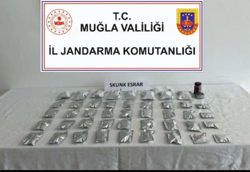 Bodrum’da 45 parça uyuşturucuyla yakalandı
