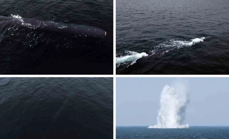 Kuzey Kore’den nükleer saldırı denemesi
