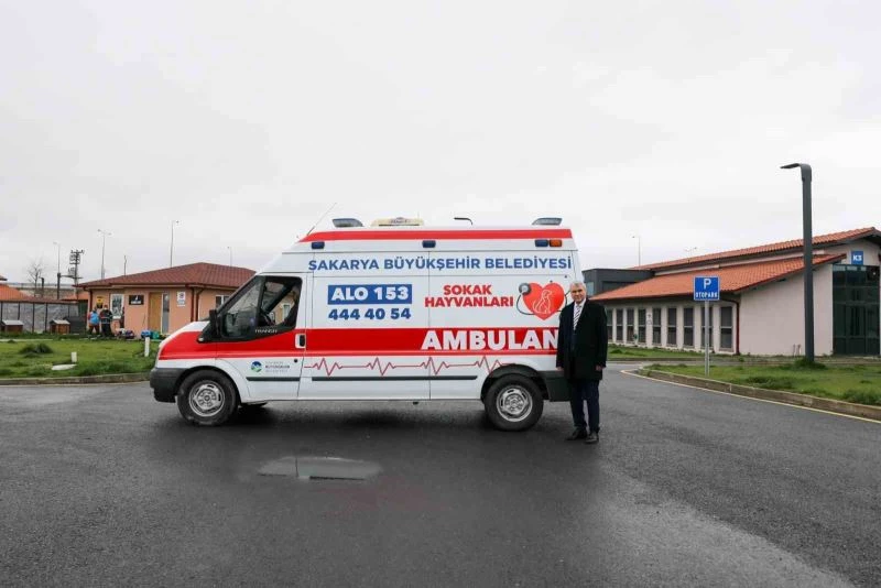 Can dostlar için yeni hizmet: Sokak hayvanları ambulansı
