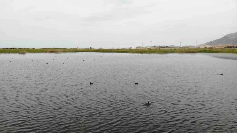 Türkiye’nin en uzun kumsalına ve kuş cennetine ev sahipliği yapan Samandağ’a binaların molozları dökülüyor