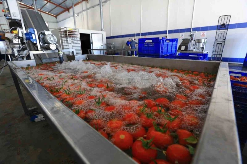 Muğla’nın ürünleri bu tesiste değerine değer katıyor
