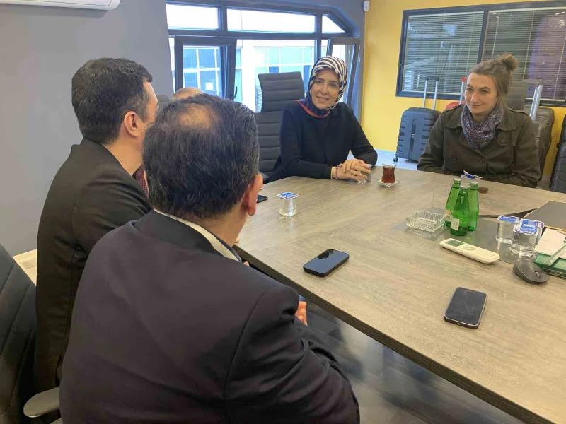 AK Parti vekil adayı Paker: 