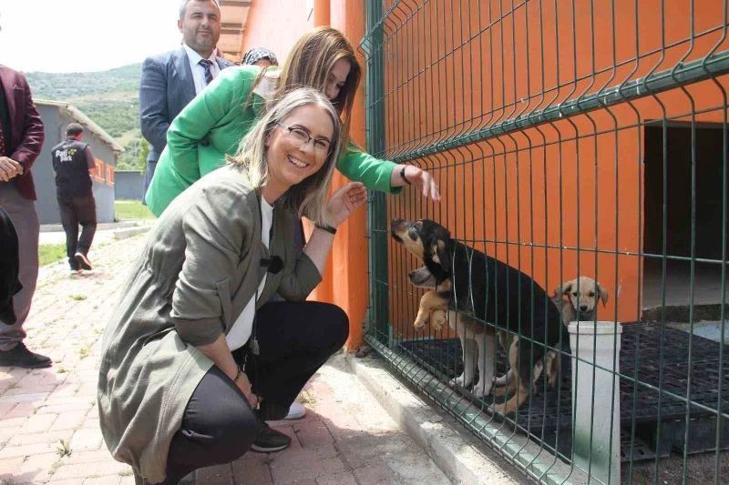 AK Parti’li Çankırı’dan sokak hayvanları için İzmir’e 2 müjde
