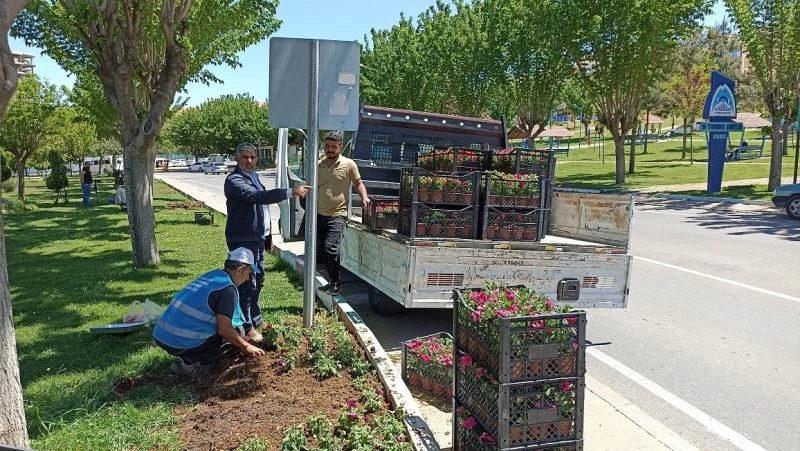 Eyyübiye parkları çiçeklerle renkleniyor
