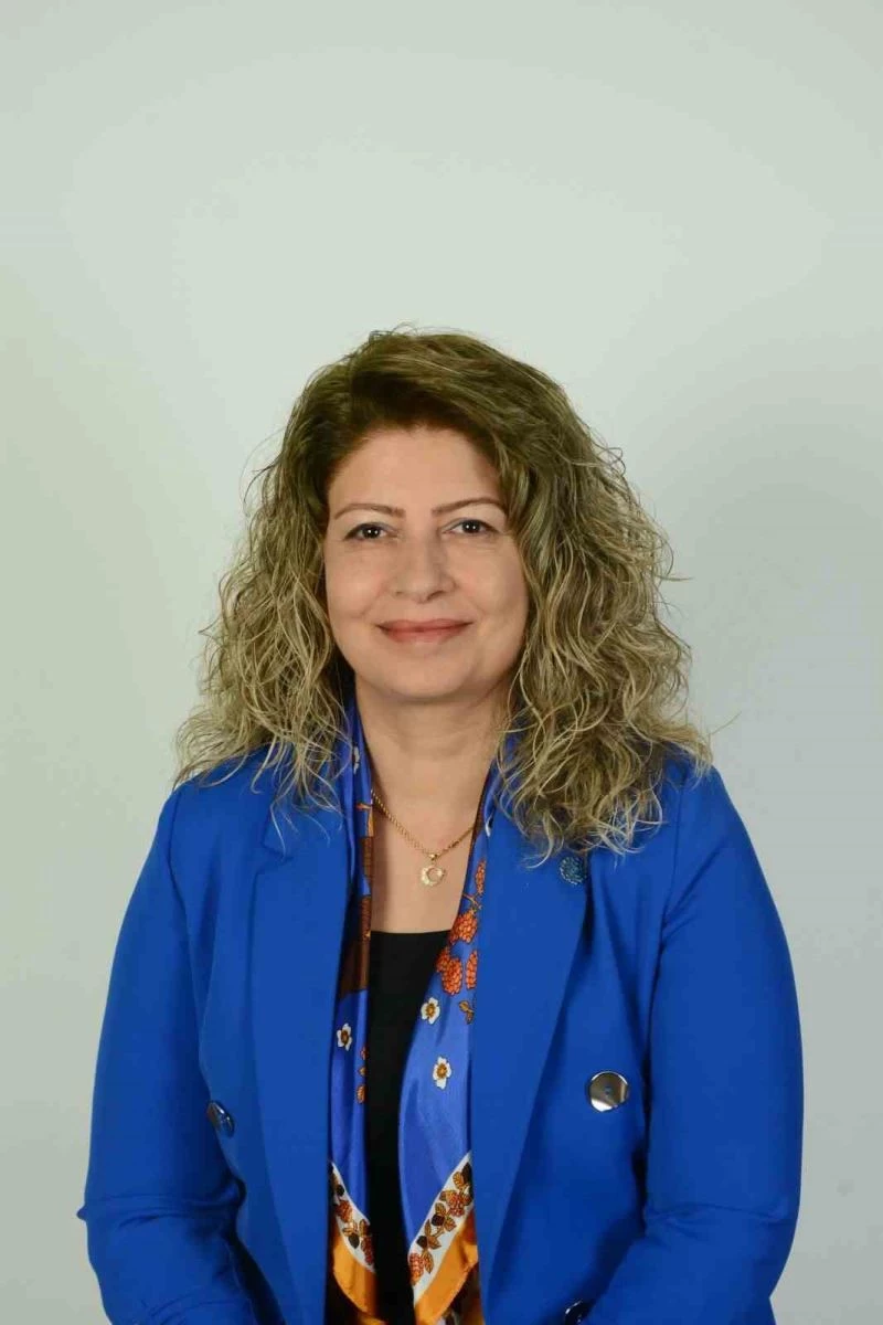 Memleket Partili Baltalık: 