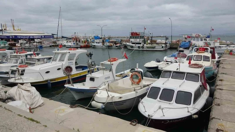 Karabiga’da jumbo karides av sezonu 15 Mayıs’ta başlıyor
