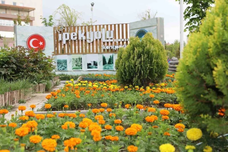 İpekyolu’nda 100 binlerce çiçek toprakla buluşuyor
